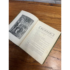 Antique Victorian Litho "Buds & Beauties" Children's Hardcover Book 1903 Conkey