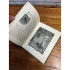 Antique Victorian Litho "Buds & Beauties" Children's Hardcover Book 1903 Conkey