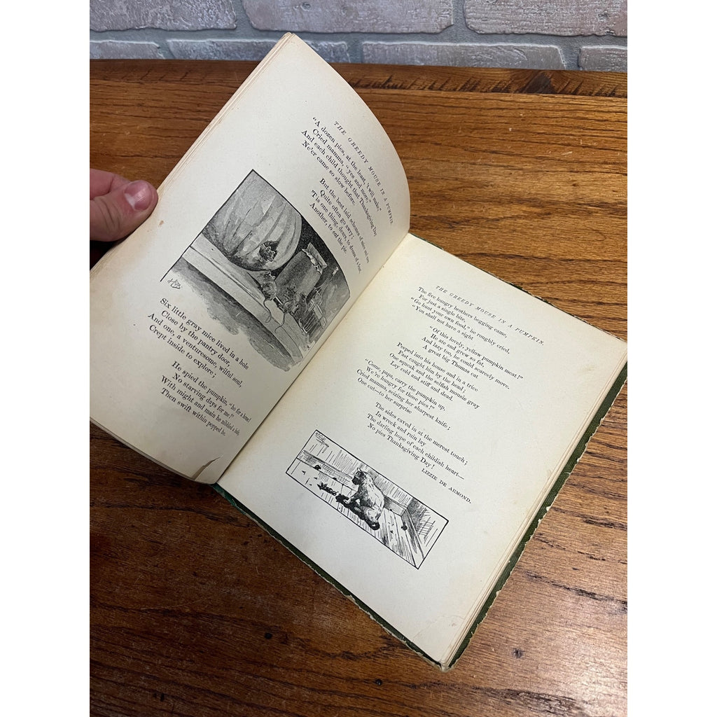 Antique Victorian Litho "Buds & Beauties" Children's Hardcover Book 1903 Conkey