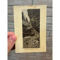 Antique 1890s Victorian Advertising Trade Card Jersey Coffee Dayton Spice Co.