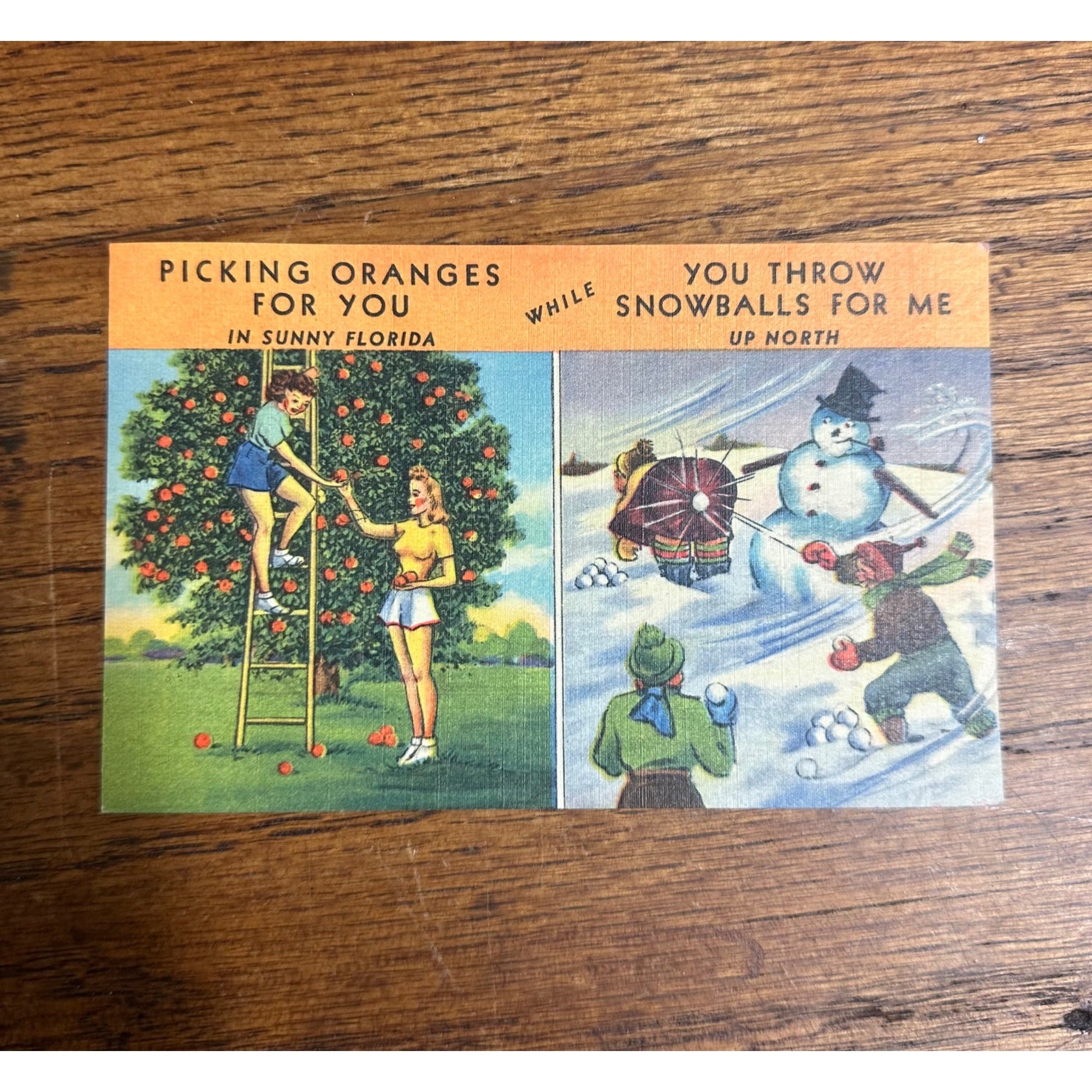 Florida FL, 1960 Picking Oranges For You, Throw Snowballs, Vintage Postcard