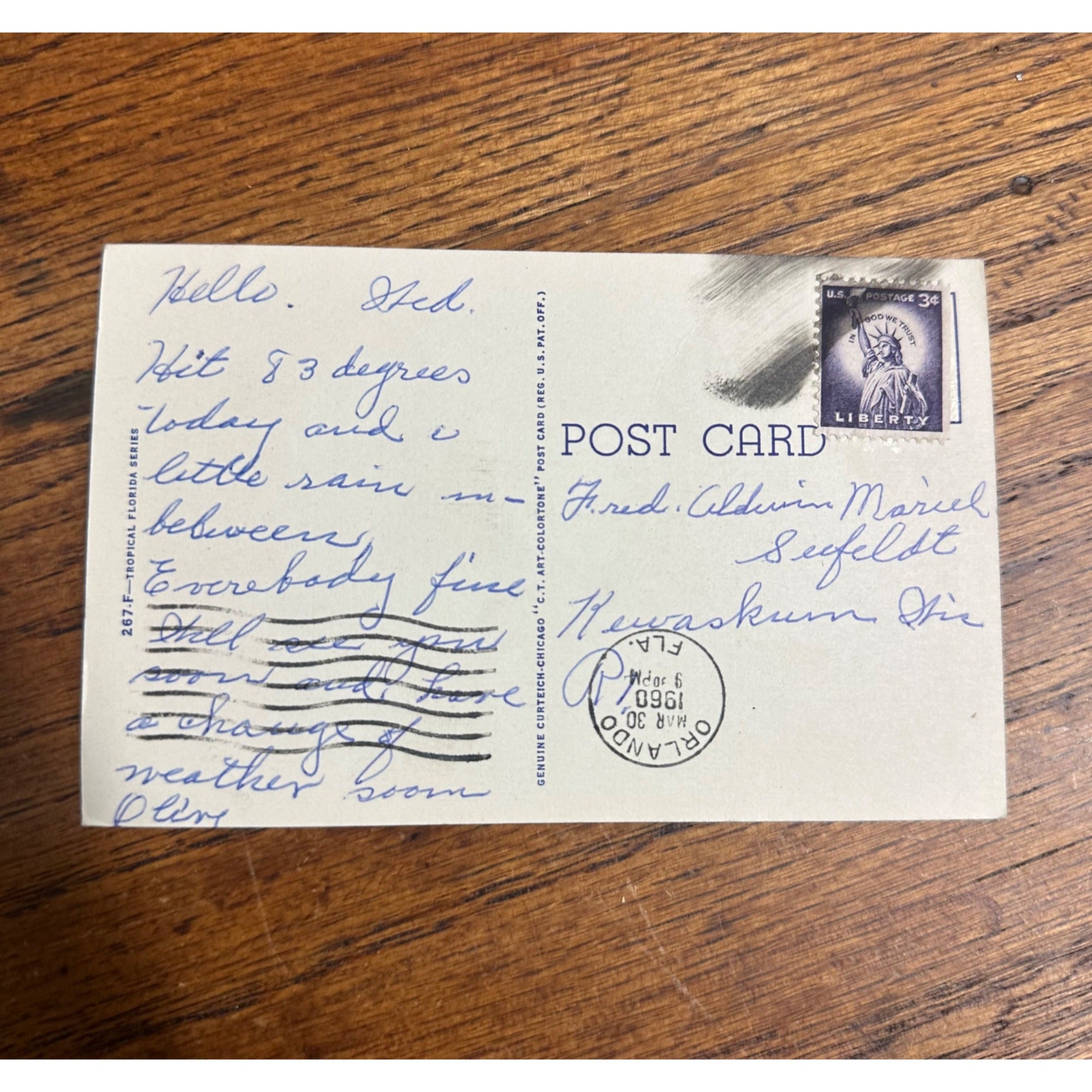 Florida FL, 1960 Picking Oranges For You, Throw Snowballs, Vintage Postcard