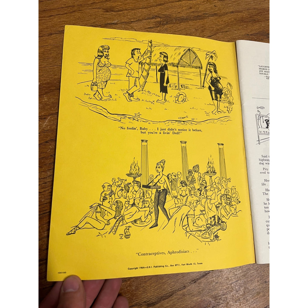 Vintage Adult American Humor Cartoon FROM SEX TO SEXTY VOL. #1 - 1964 Comedy