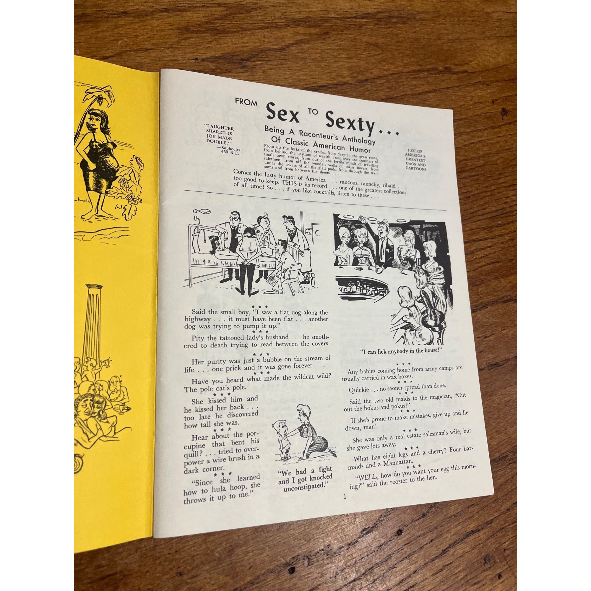 Vintage Adult American Humor Cartoon FROM SEX TO SEXTY VOL. #1 - 1964 Comedy