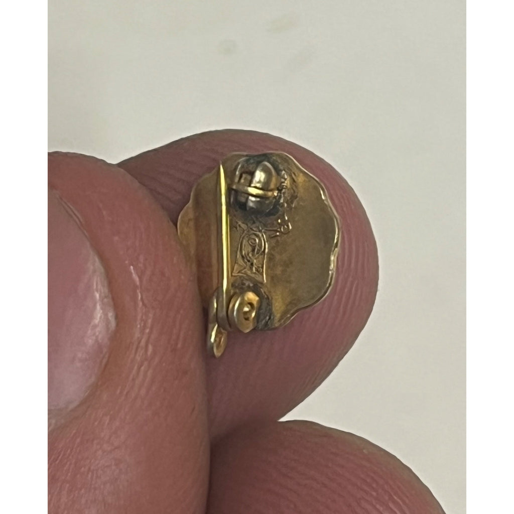 Vintage Wisconsin College Graduate Pin Institute of Technology Gold Tone Enamel