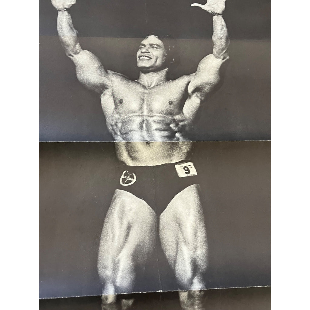 RARE Vintage 1977 Arnold Schwarzenegger Pumping Iron Original Movie Poster 27x41