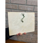 RARE Vintage 1960s Chief Oshkosh Beer Plaster Chalkware Beer Sign Advertising WI