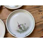 Buchan Thistle Serving Scotland Stoneware Pottery (4) 10" Dinner Plates