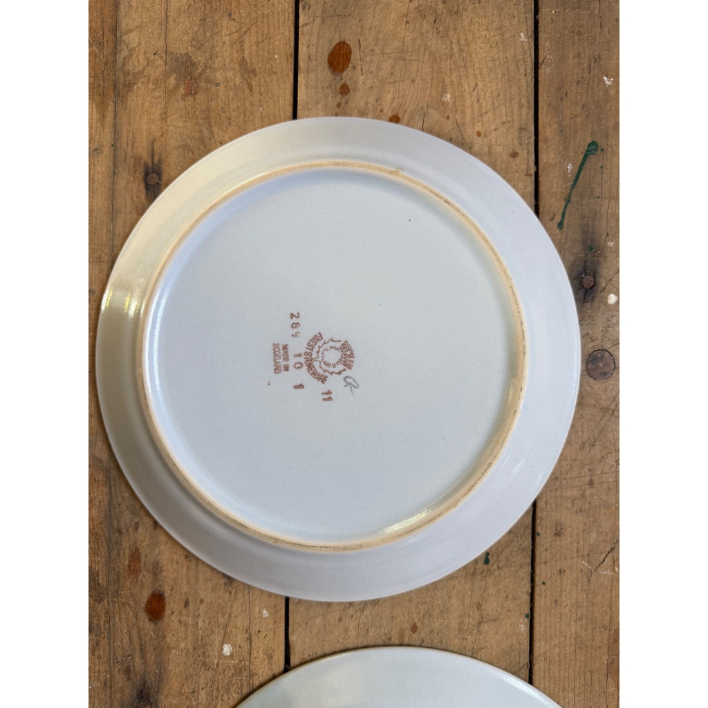 Buchan Thistle Serving Scotland Stoneware Pottery (4) 10" Dinner Plates
