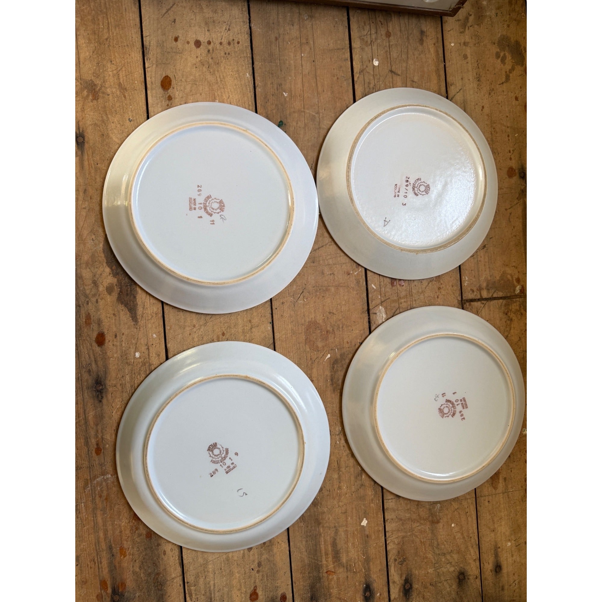 Buchan Thistle Serving Scotland Stoneware Pottery (4) 10" Dinner Plates