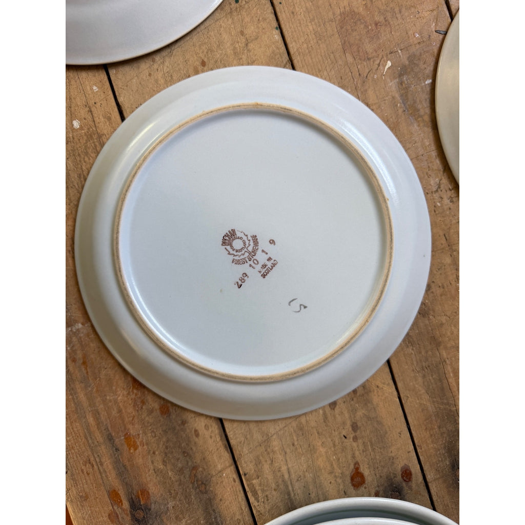 Buchan Thistle Serving Scotland Stoneware Pottery (4) 10" Dinner Plates