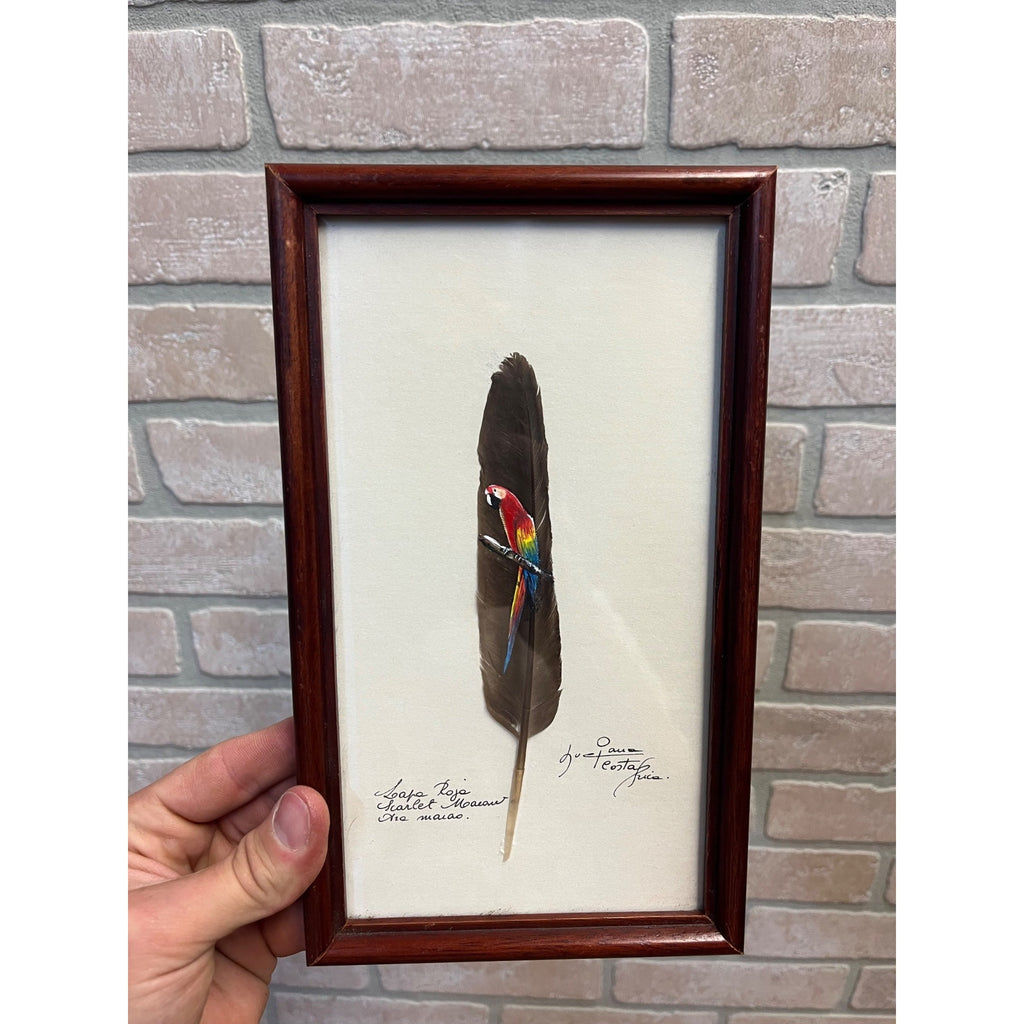 Vintage Painted Scarlet Macaw Feather Painting Framed Arara Roja Tropical Bird Signed