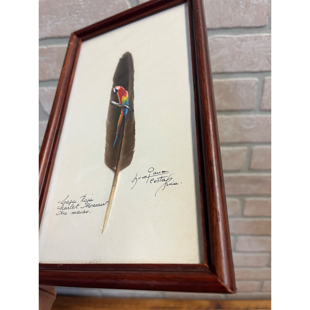 Vintage Painted Scarlet Macaw Feather Painting Framed Arara Roja Tropical Bird Signed