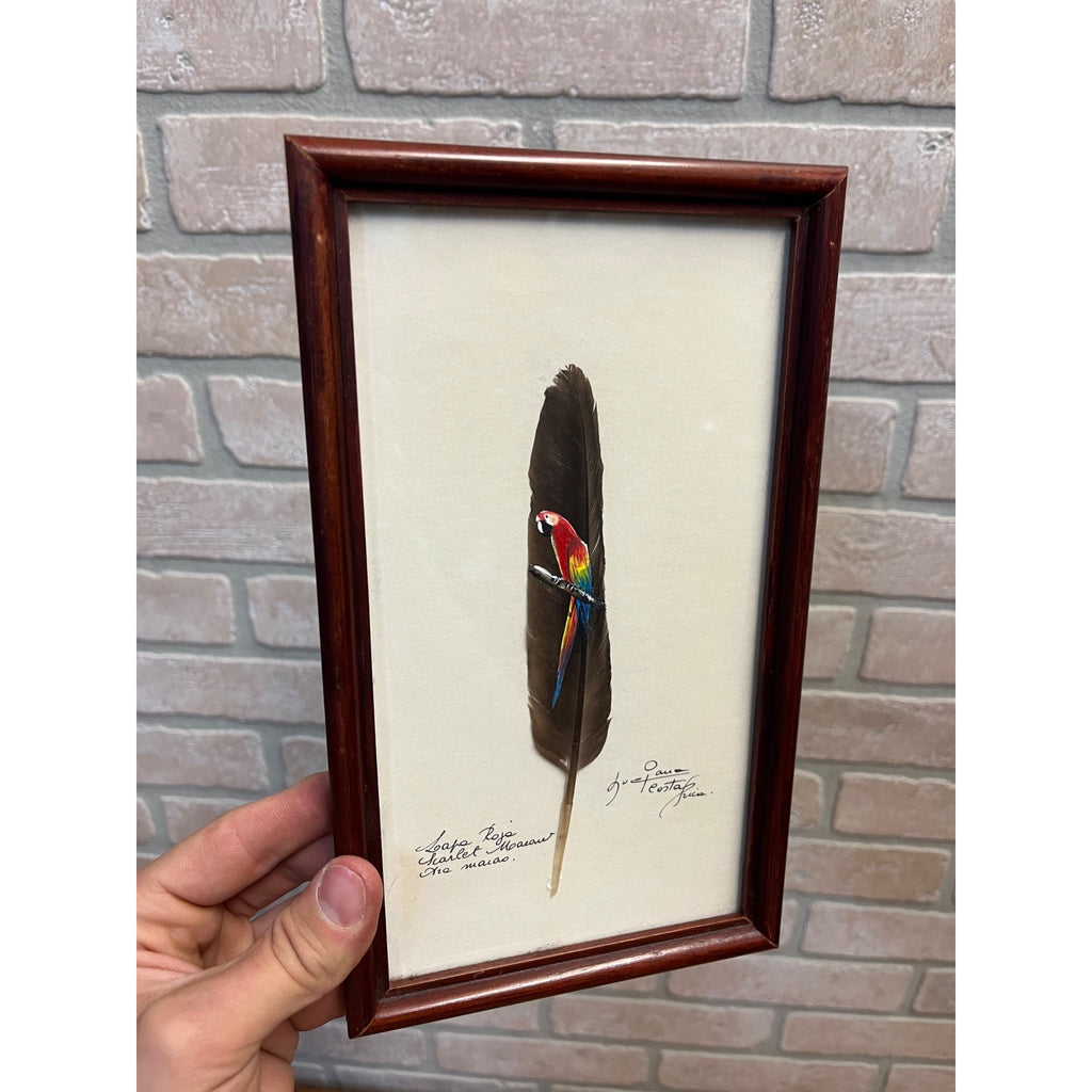 Vintage Painted Scarlet Macaw Feather Painting Framed Arara Roja Tropical Bird Signed