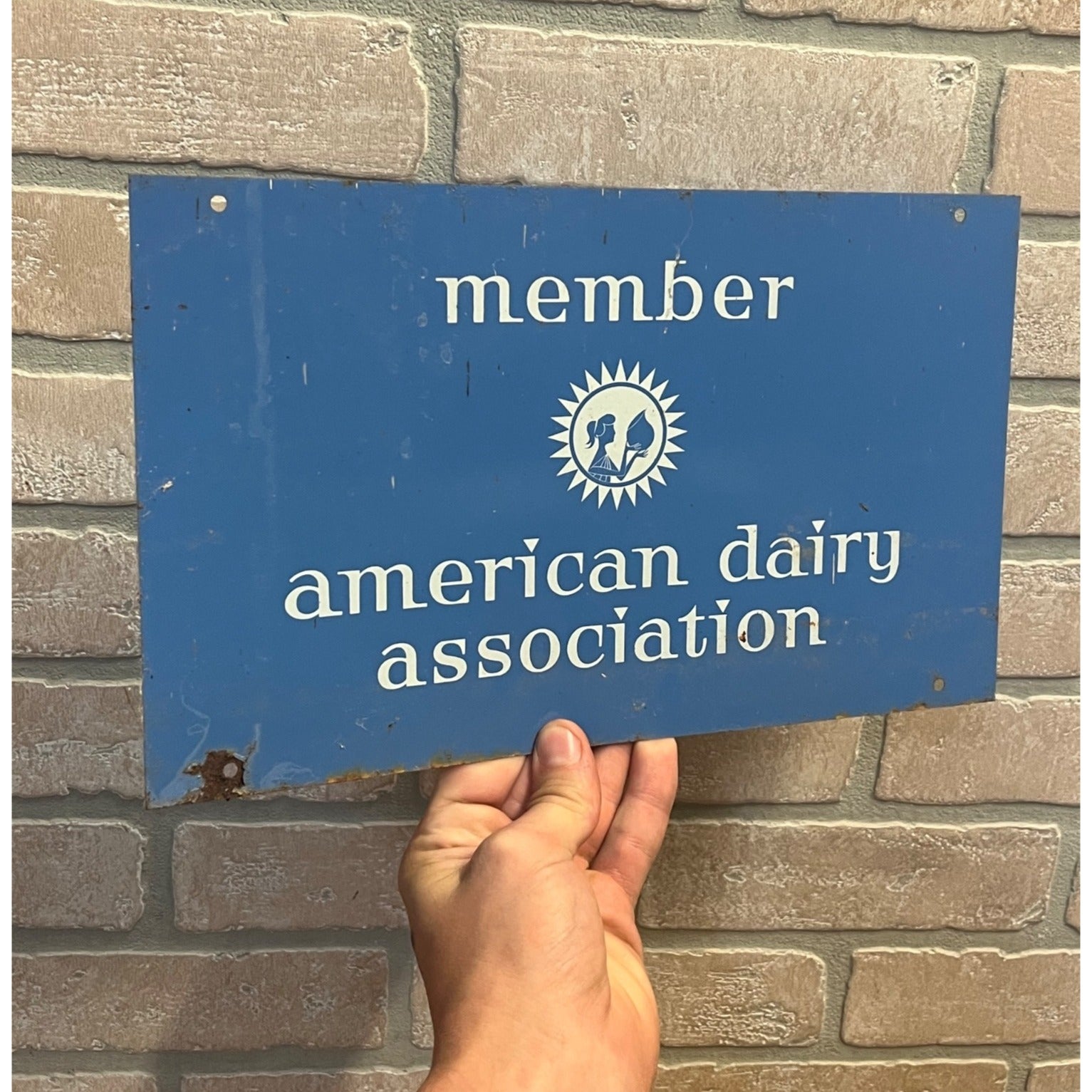 Vintage American Dairy Association Member Tin Milk Cow Double Sided Tin Sign Farm