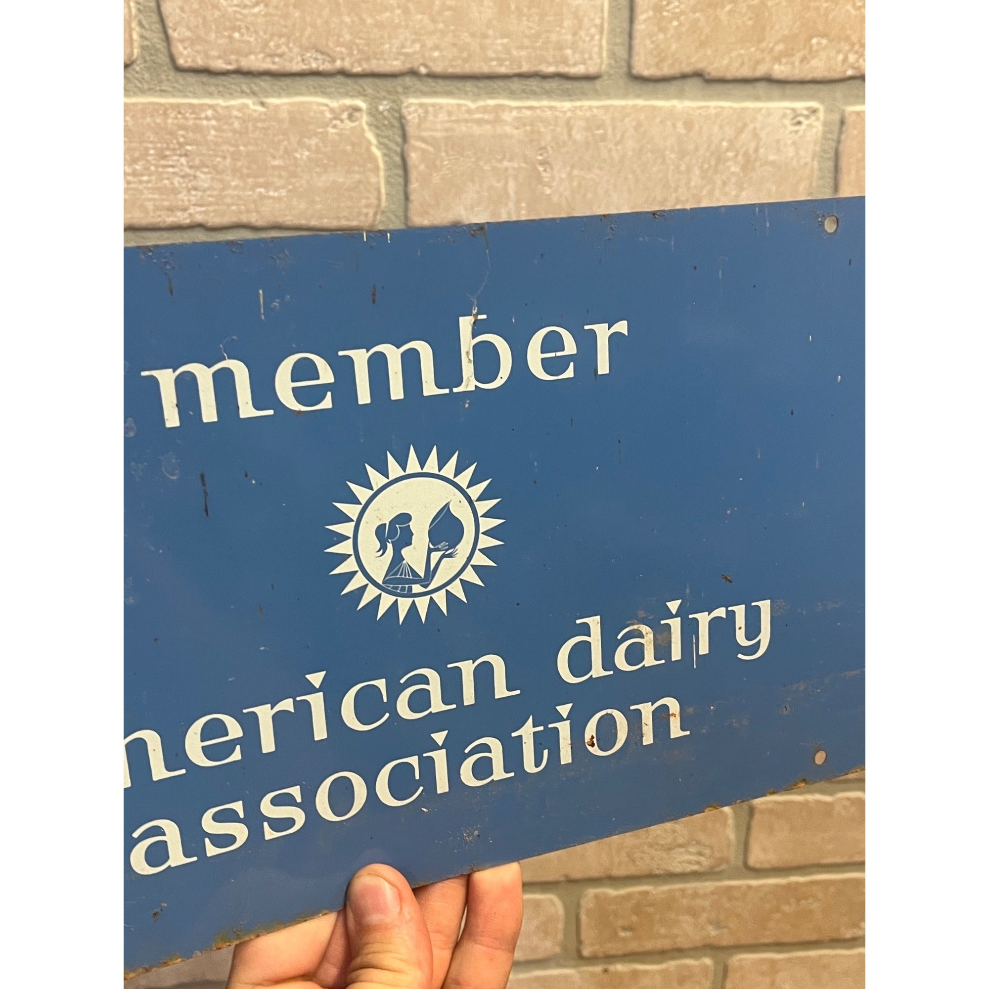 Vintage American Dairy Association Member Tin Milk Cow Double Sided Tin Sign Farm