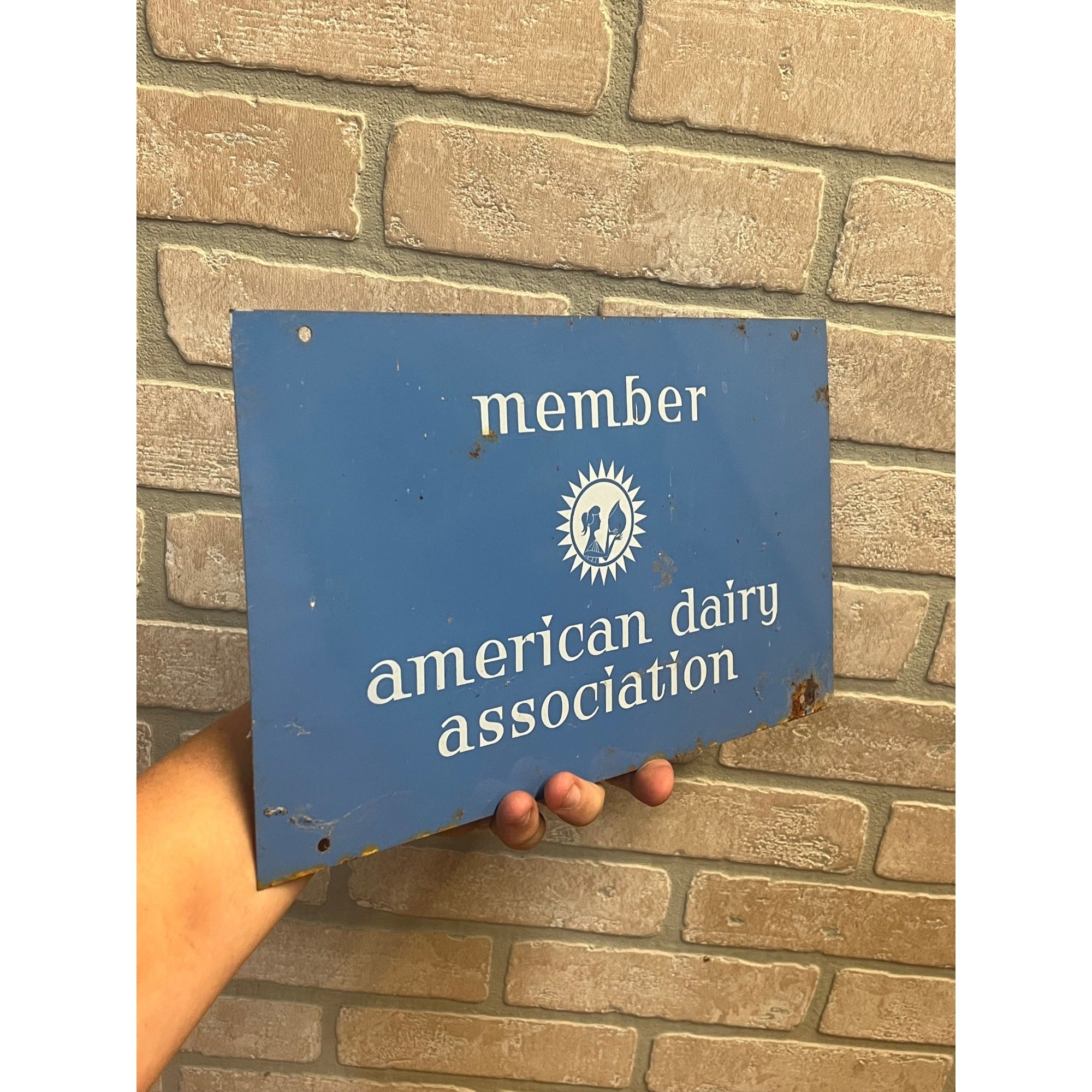 Vintage American Dairy Association Member Tin Milk Cow Double Sided Tin Sign Farm