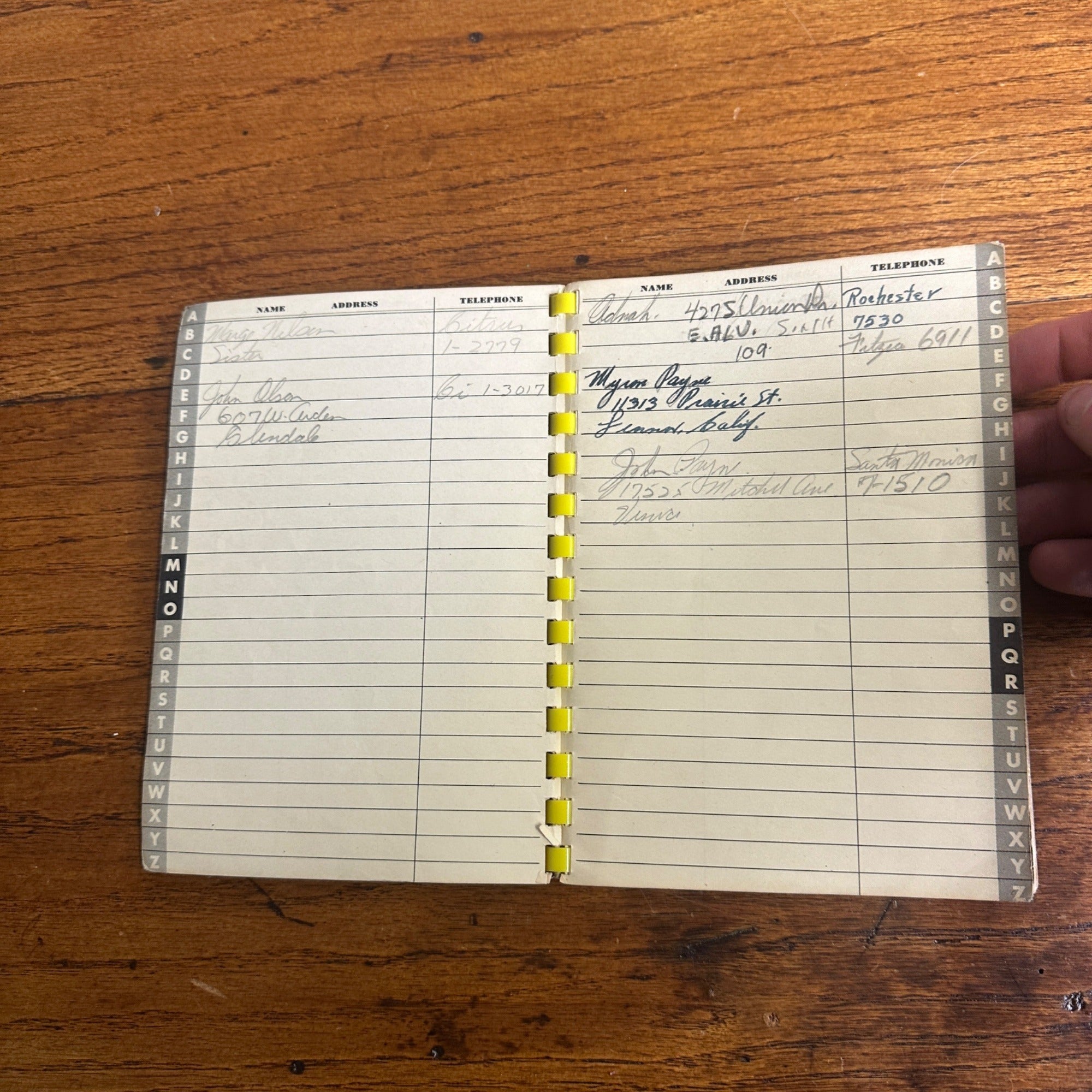 Vintage 1941 Petty Phone Numbers Esquire Book Pinup Girls