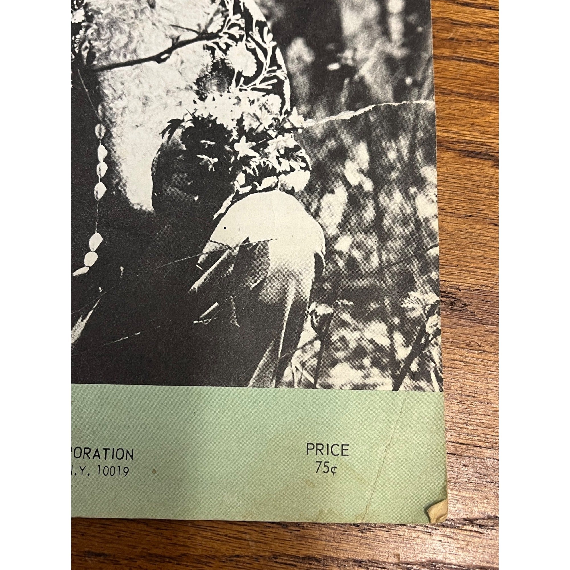 Vintage Hurdy Gurdy Mann Donovan Leitch Sheet Music (1968)
