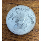 Antique 1882 Amazon Fire Insurance Company Advertising Paperweight Cincinnati