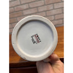 Vintage Leinenkugel's Beer Ceramic Stein With Indian Maiden Logo Chippewa Falls, WI Domex Breweriana Germany