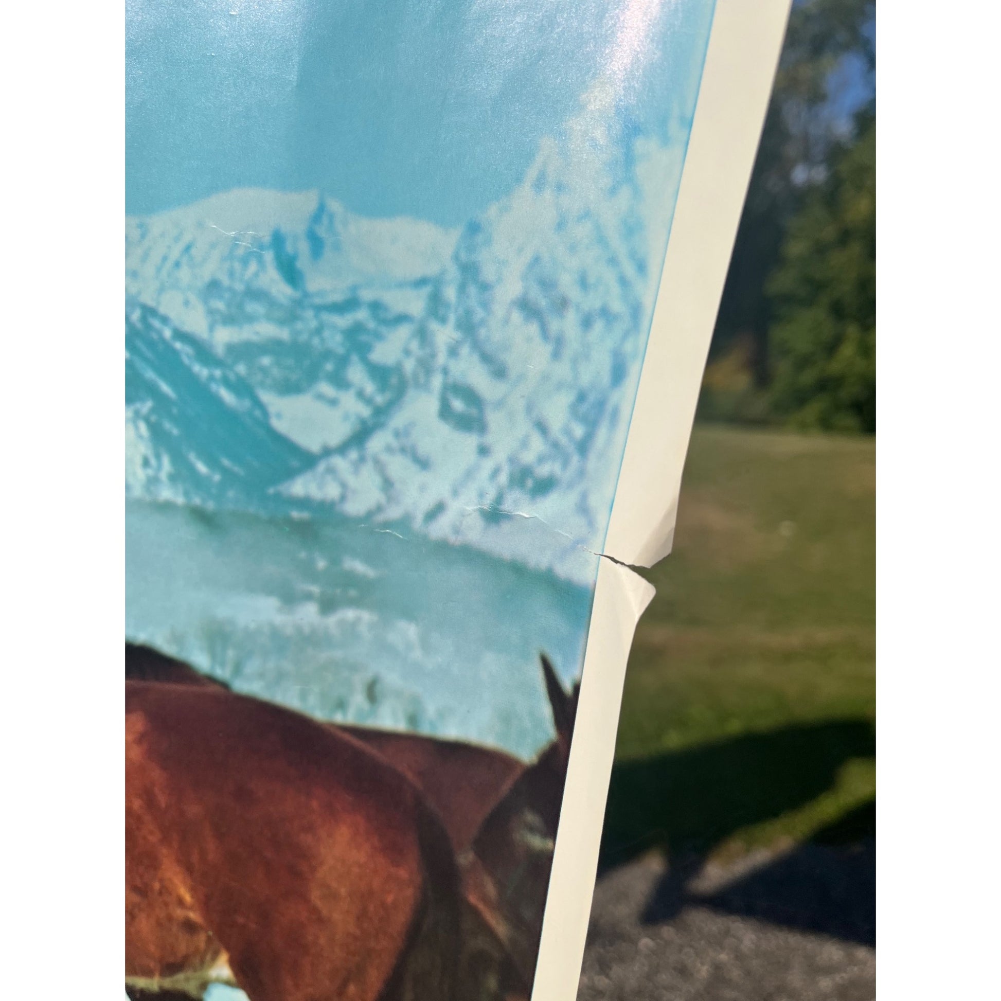 Vintage 1973 Mercury Marine Hurricane Snowmobile Advertising Poster Sign