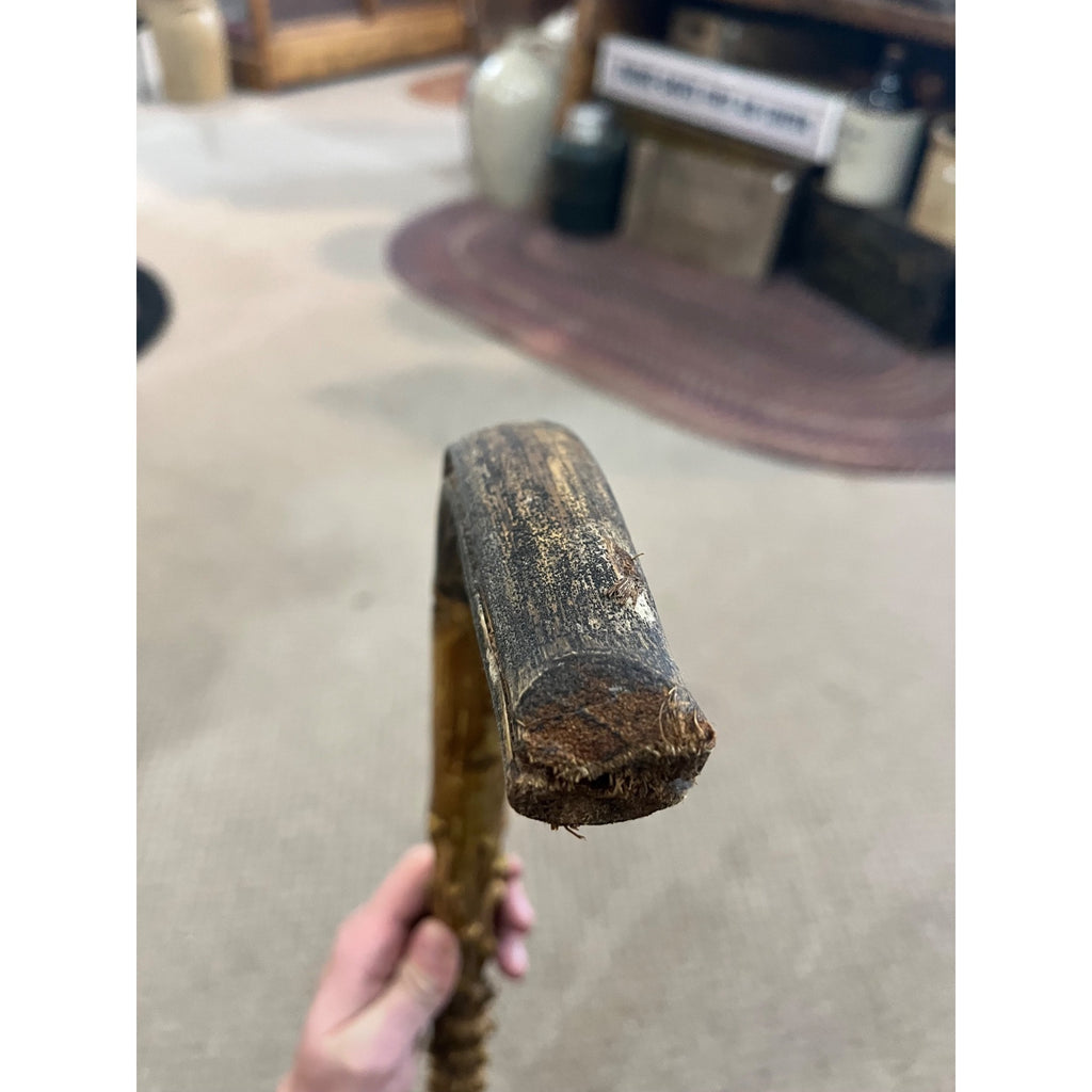 Vintage Antique Briarwood Thornwood Crook Handled Curved Walking Cane Shillelagh