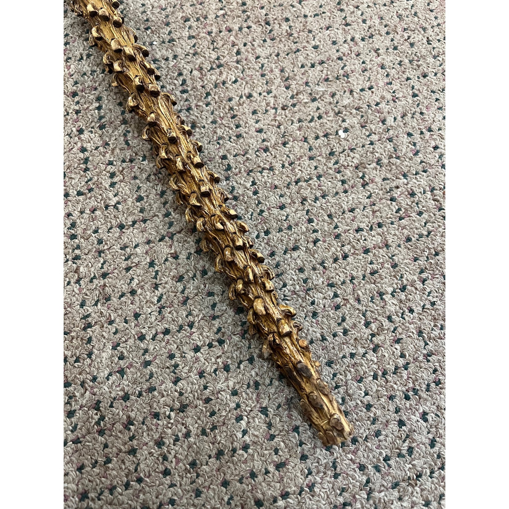 Vintage Antique Briarwood Thornwood Crook Handled Curved Walking Cane Shillelagh