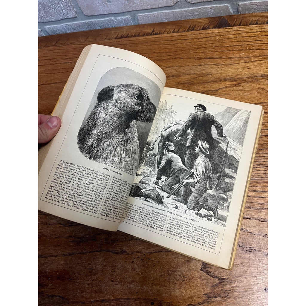Antique Victorian Litho "Chatterbox" Children's Stories Hardcover Book 1896 Boston Estes & Lauriat