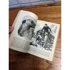 Antique Victorian Litho "Chatterbox" Children's Stories Hardcover Book 1896 Boston Estes & Lauriat