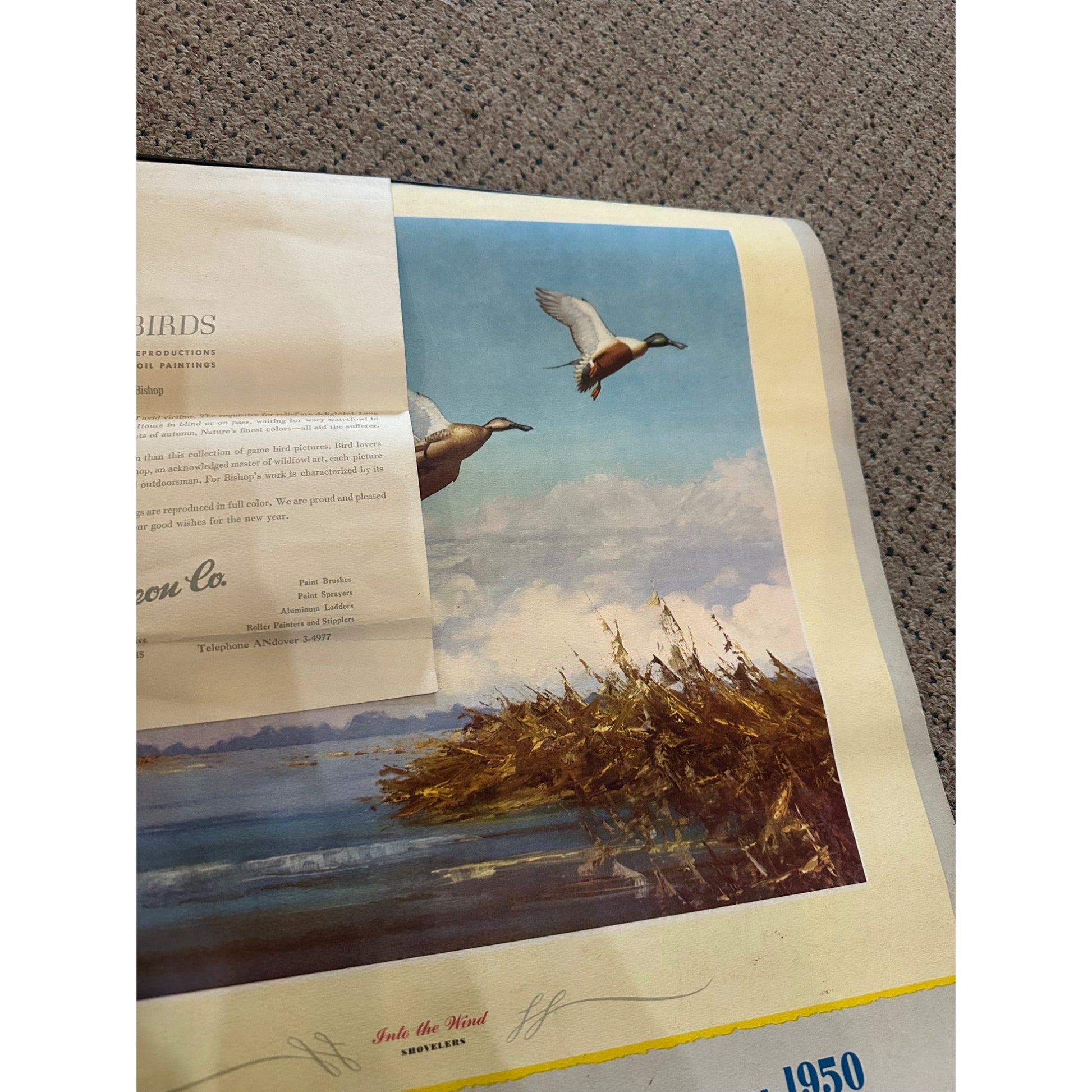 Vintage 1950 Game Birds by Richard E Bishop Calendar w/ 6 Tintogravure Prints