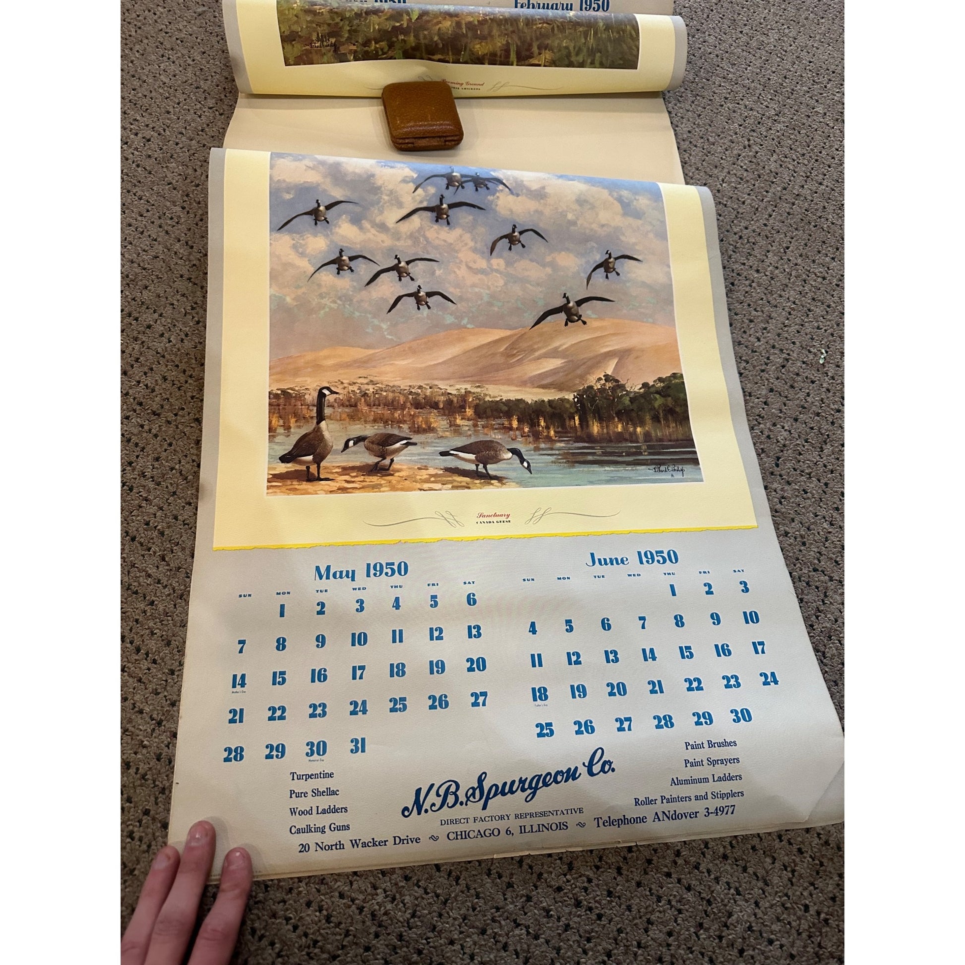 Vintage 1950 Game Birds by Richard E Bishop Calendar w/ 6 Tintogravure Prints
