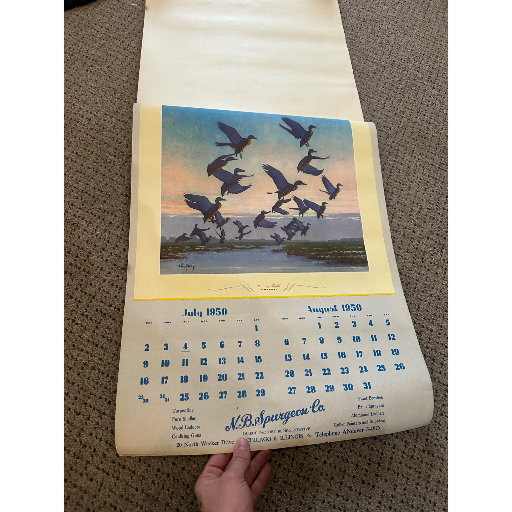 Vintage 1950 Game Birds by Richard E Bishop Calendar w/ 6 Tintogravure Prints