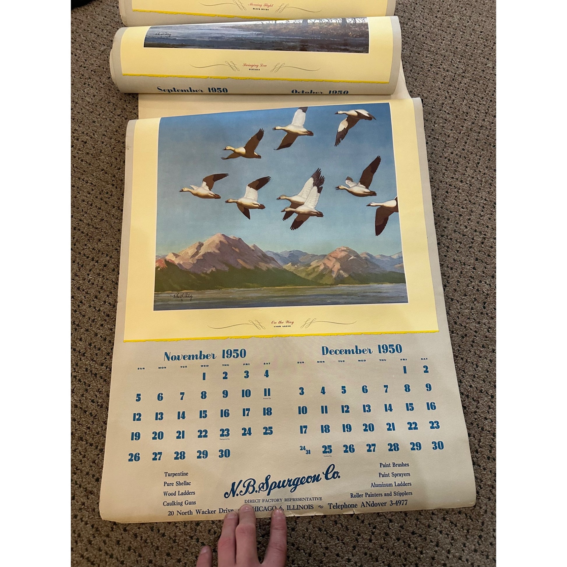 Vintage 1950 Game Birds by Richard E Bishop Calendar w/ 6 Tintogravure Prints