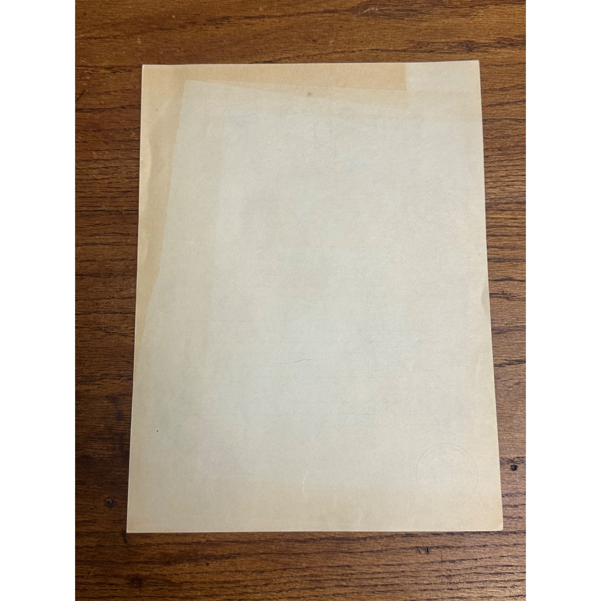 Vintage 1955 The Confederate Air Corps Document Issued To Colonel In Air Force
