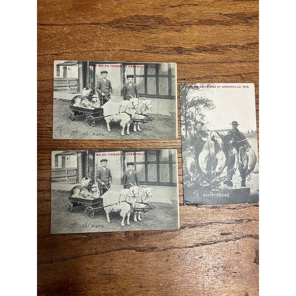 Vintage Lot Greenville Wisconsin Humorous Postcards Goat Cart Ducks