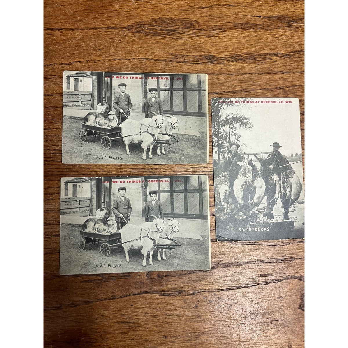Vintage Lot Greenville Wisconsin Humorous Postcards Goat Cart Ducks