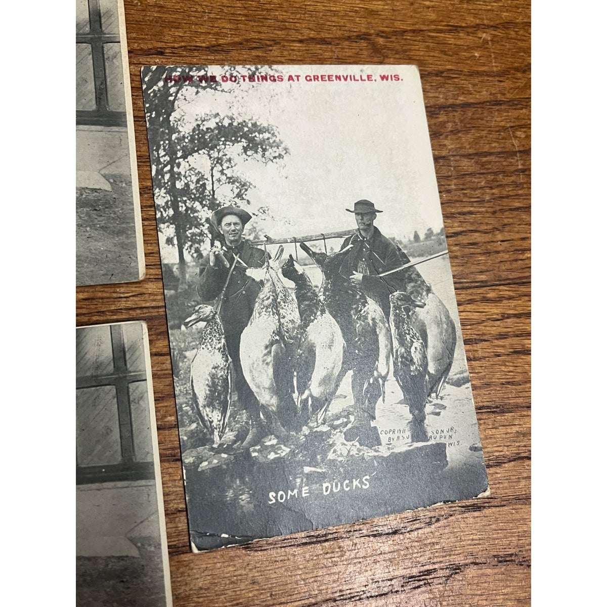 Vintage Lot Greenville Wisconsin Humorous Postcards Goat Cart Ducks