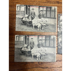 Vintage Lot Greenville Wisconsin Humorous Postcards Goat Cart Ducks