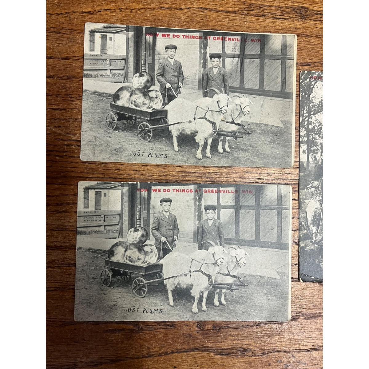 Vintage Lot Greenville Wisconsin Humorous Postcards Goat Cart Ducks