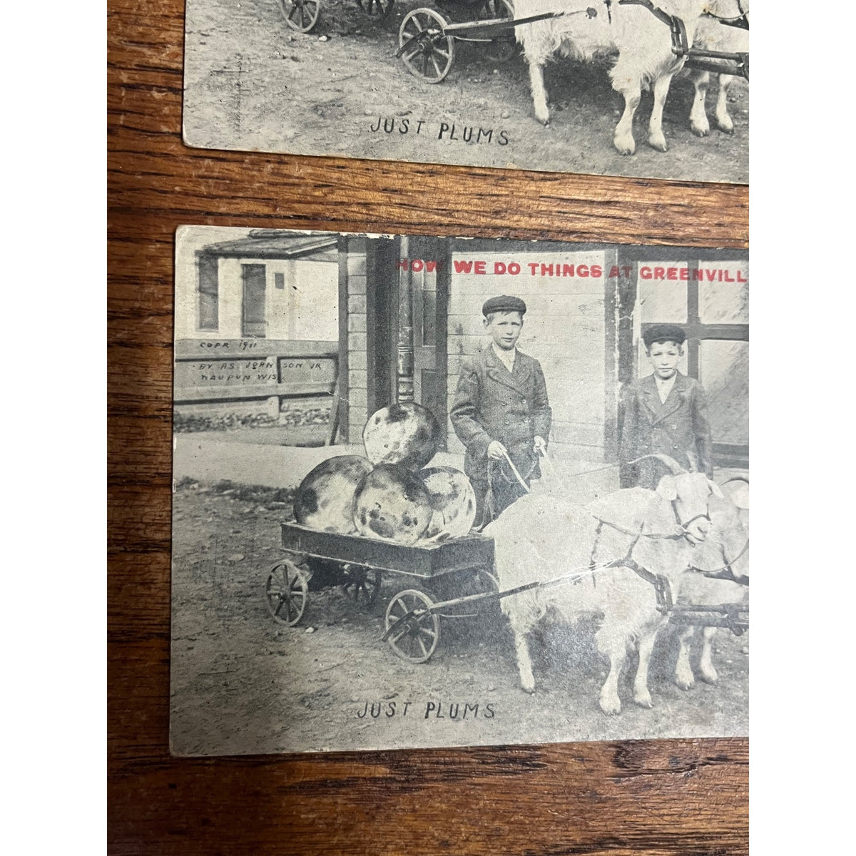 Vintage Lot Greenville Wisconsin Humorous Postcards Goat Cart Ducks