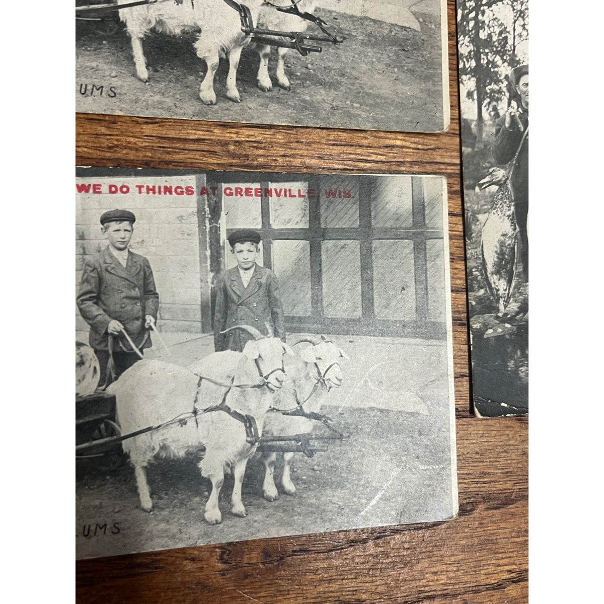 Vintage Lot Greenville Wisconsin Humorous Postcards Goat Cart Ducks