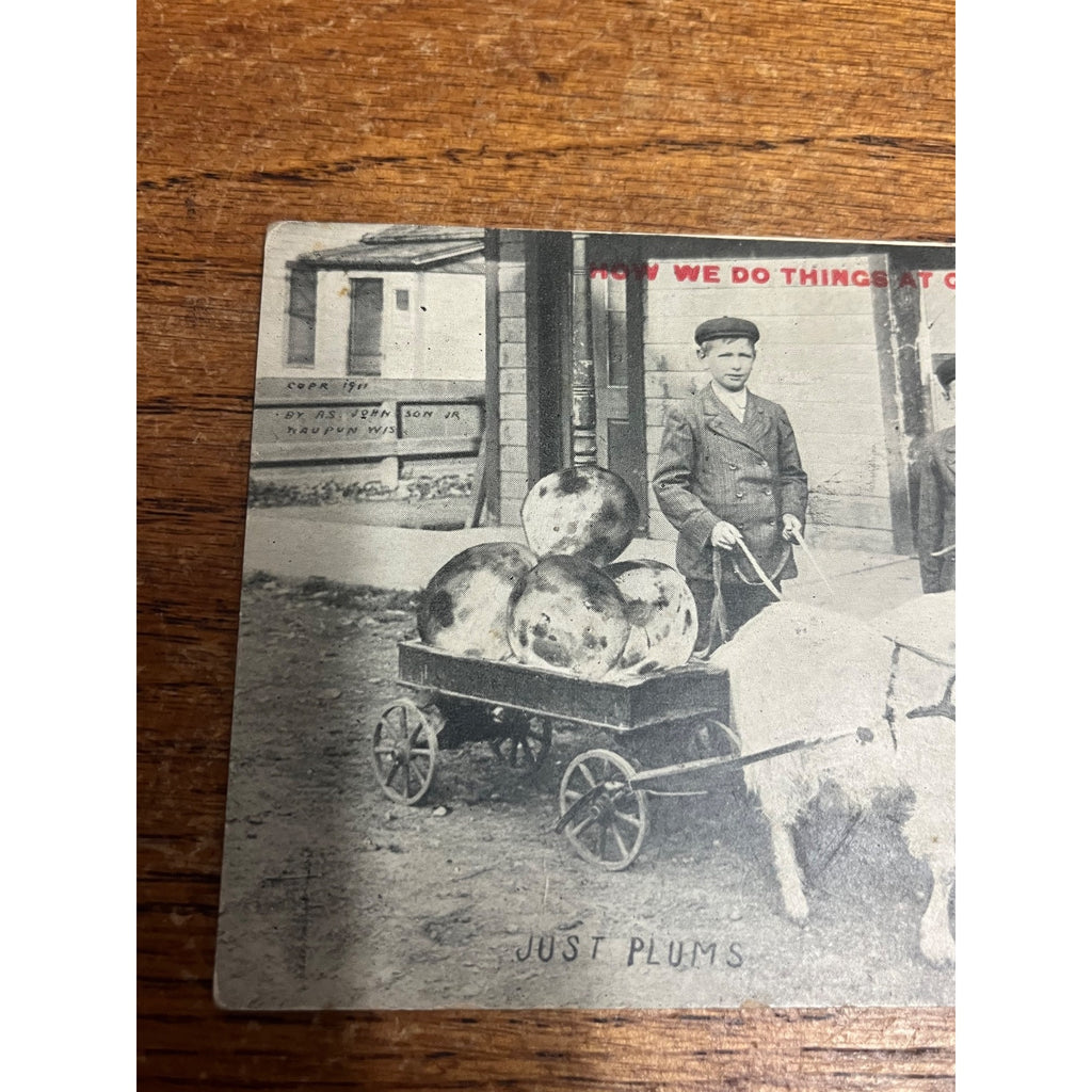 Vintage Lot Greenville Wisconsin Humorous Postcards Goat Cart Ducks