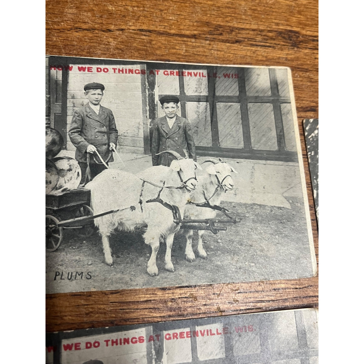 Vintage Lot Greenville Wisconsin Humorous Postcards Goat Cart Ducks