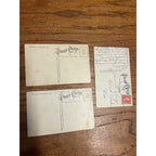 Vintage Lot Greenville Wisconsin Humorous Postcards Goat Cart Ducks