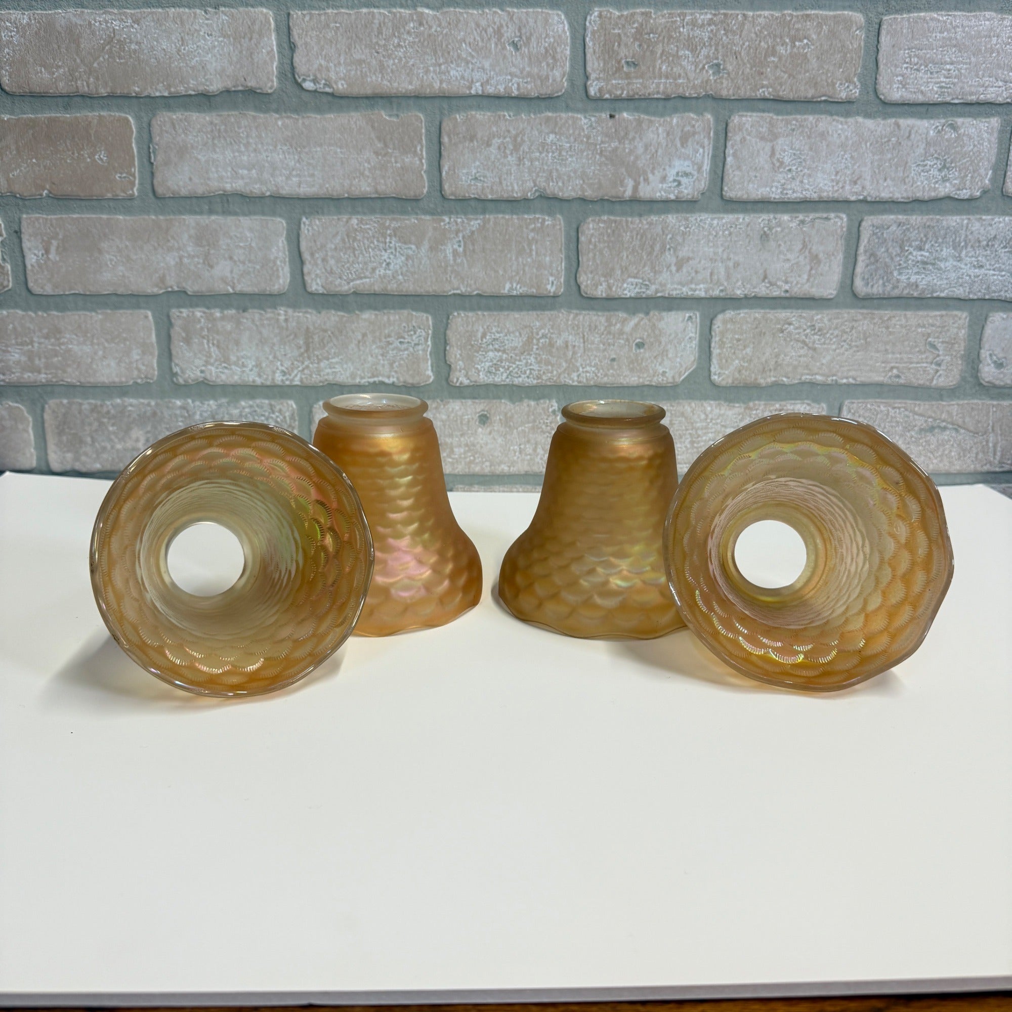 Vintage Imperial Carnival Iridescent Coral Shell Scale Marigold Glass Shades