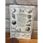 Vintage 1920s New York Rubber Co. Hard Rubber Cat Toy Ball w/ Advertisement