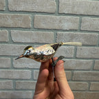 Antique Germany Clip on Glass Bird Ornament Silver