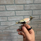 Antique Germany Clip on Glass Bird Ornament Silver
