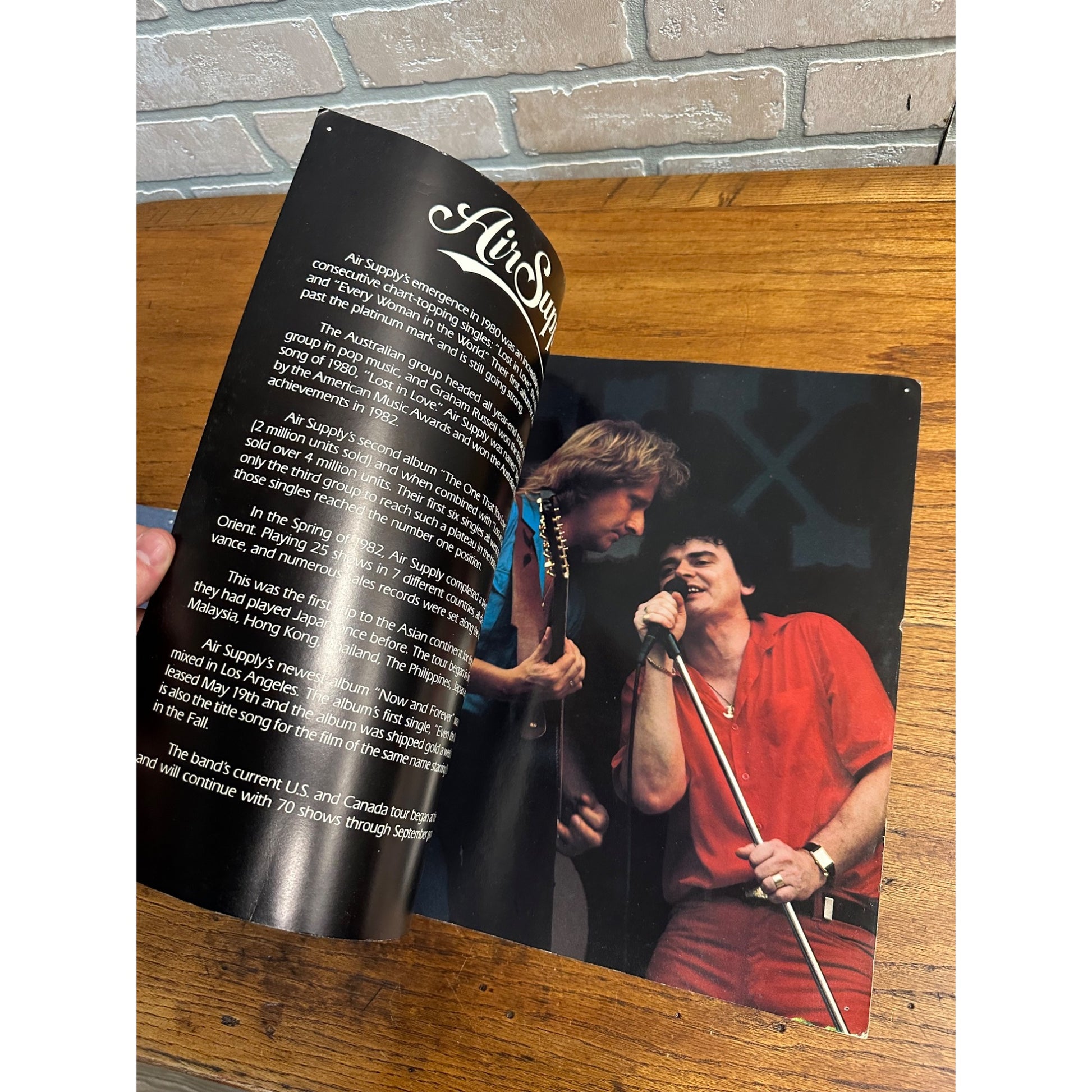 Vintage Air Supply 1982 World Tour Concert Program Booklet